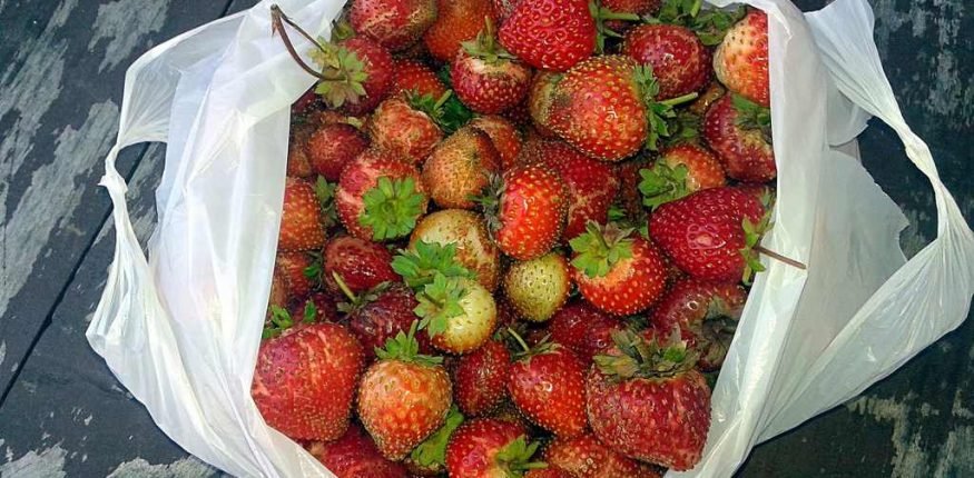 reklamówka foliowa podlegająca opłacie recyklingowej